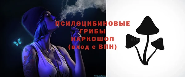 прущие грибы Алексеевка