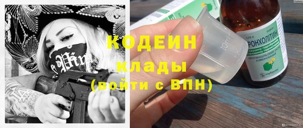 прущие грибы Алексеевка