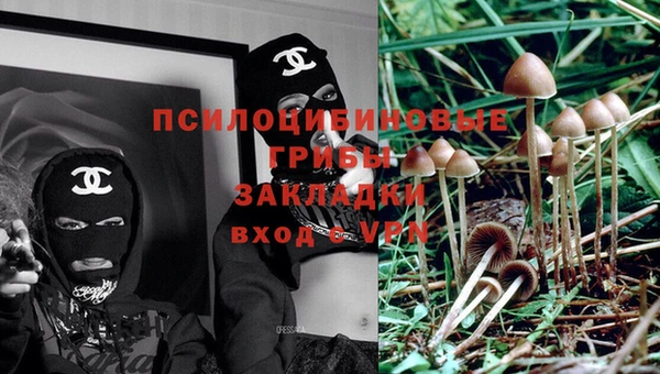 прущие грибы Алексеевка