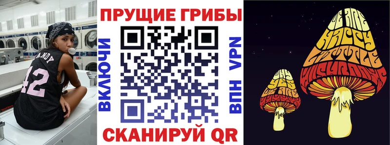 Галлюциногенные грибы мухоморы  цена наркотик  Ноябрьск 